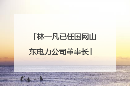 林一凡已任国网山东电力公司董事长