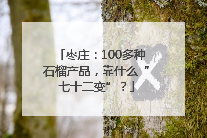 枣庄：100多种石榴产品，靠什么“七十二变”？