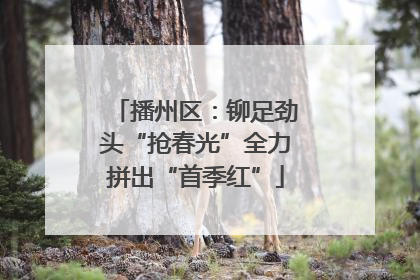 播州区：铆足劲头“抢春光”全力拼出“首季红”