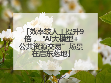 效率较人工提升9倍，“AI大模型+公共资源交易”场景在启东落地