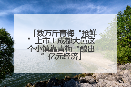 数万斤青梅“抢鲜”上市！成都大邑这个小镇靠青梅“酿出”亿元经济