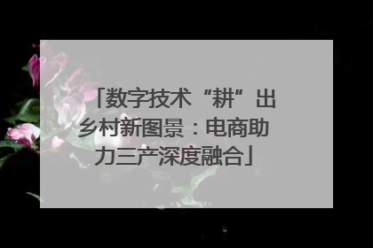 数字技术“耕”出乡村新图景：电商助力三产深度融合
