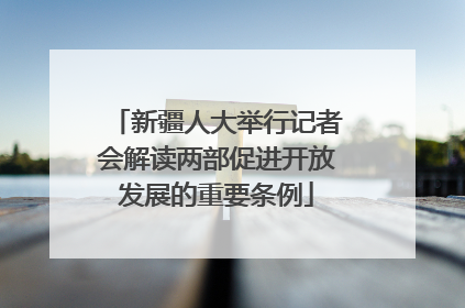 新疆人大举行记者会解读两部促进开放发展的重要条例