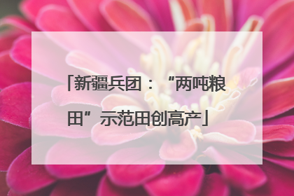 新疆兵团：“两吨粮田”示范田创高产