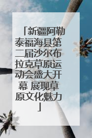 新疆阿勒泰福海县第二届沙尔布拉克草原运动会盛大开幕 展现草原文化魅力