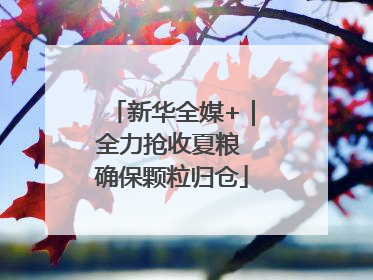 新华全媒+｜全力抢收夏粮 确保颗粒归仓