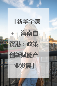 新华全媒+｜海南自贸港：政策创新赋能产业发展