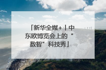 新华全媒+丨中东欧博览会上的“数智”科技秀