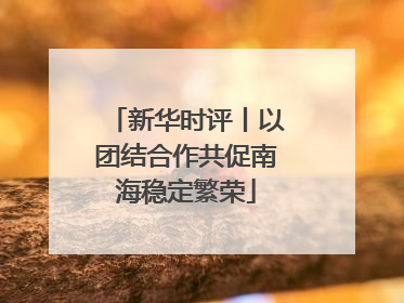 新华时评丨以团结合作共促南海稳定繁荣