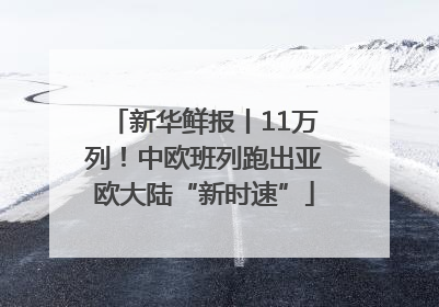 新华鲜报丨11万列！中欧班列跑出亚欧大陆“新时速”
