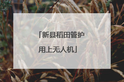 新县稻田管护用上无人机