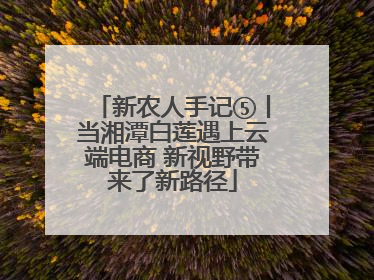 新农人手记⑤丨当湘潭白莲遇上云端电商 新视野带来了新路径