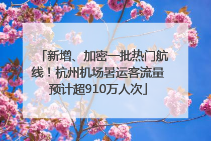 新增、加密一批热门航线！杭州机场暑运客流量预计超910万人次