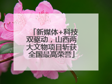 新媒体+科技双驱动，山西两大文物项目斩获全国最高荣誉
