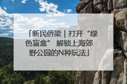 新民侨梁｜打开“绿色盲盒” 解锁上海郊野公园的N种玩法