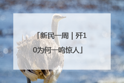 新民一周｜歼10为何一鸣惊人