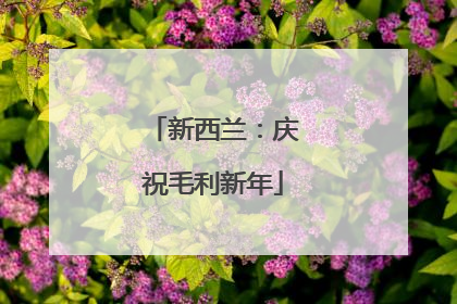 新西兰：庆祝毛利新年
