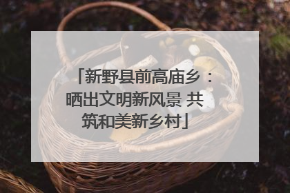 新野县前高庙乡：晒出文明新风景 共筑和美新乡村