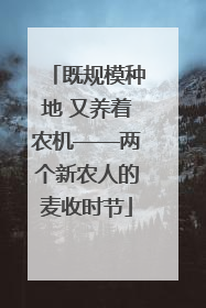 既规模种地 又养着农机——两个新农人的麦收时节