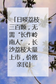 日啖荔枝三百颗，无需“长作岭南人”，长沙荔枝大量上市，价格亲民