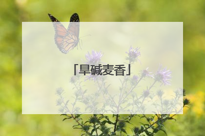 旱碱麦香