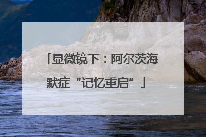 显微镜下：阿尔茨海默症“记忆重启”
