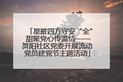星耀四方守安“全” 甜聚党心传温情——舞阳社区党委开展流动党员建党节主题活动