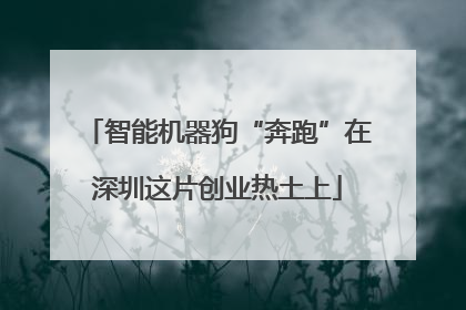智能机器狗“奔跑”在深圳这片创业热土上