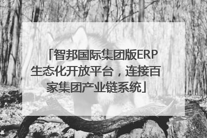 智邦国际集团版ERP生态化开放平台，连接百家集团产业链系统