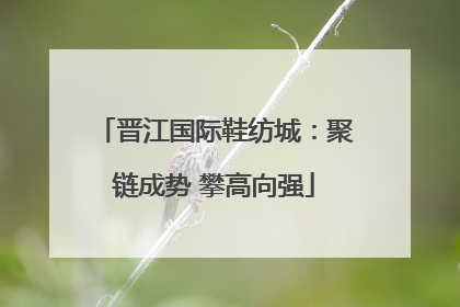 晋江国际鞋纺城：聚链成势 攀高向强