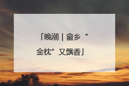 晚潮｜畲乡“金枕”又飘香