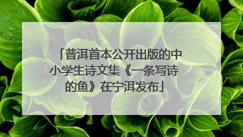 普洱首本公开出版的中小学生诗文集《一条写诗的鱼》在宁洱发布