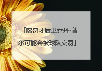 曝奇才后卫乔丹-普尔可能会被球队交易