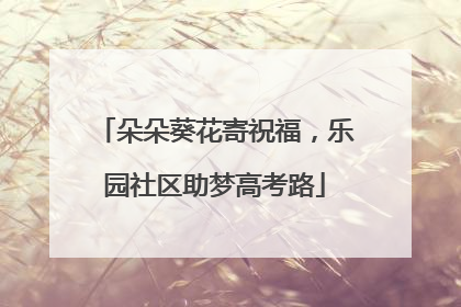 朵朵葵花寄祝福，乐园社区助梦高考路