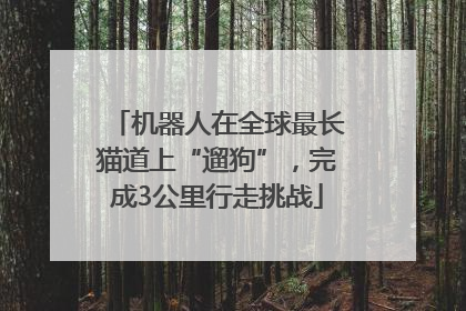 机器人在全球最长猫道上“遛狗”，完成3公里行走挑战