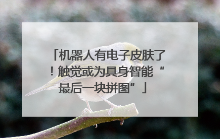 机器人有电子皮肤了！触觉或为具身智能“最后一块拼图”