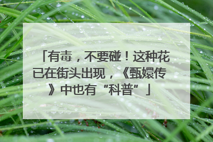 有毒，不要碰！这种花已在街头出现，《甄嬛传》中也有“科普”