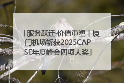 服务跃迁·价值重塑｜厦门机场斩获2025CAPSE年度峰会四项大奖