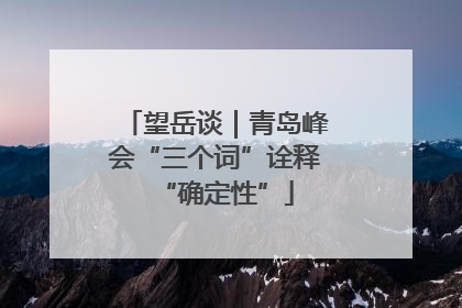 望岳谈｜青岛峰会“三个词”诠释“确定性”