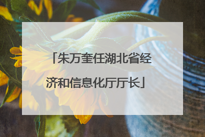 朱万奎任湖北省经济和信息化厅厅长