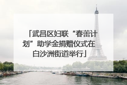 武昌区妇联“春蕾计划”助学金捐赠仪式在白沙洲街道举行