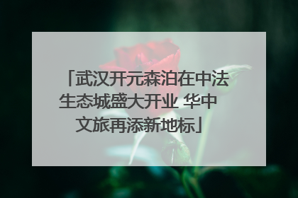武汉开元森泊在中法生态城盛大开业 华中文旅再添新地标