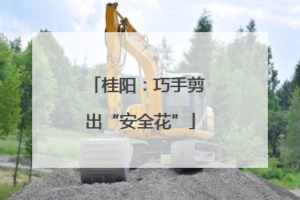 桂阳：巧手剪出“安全花”
