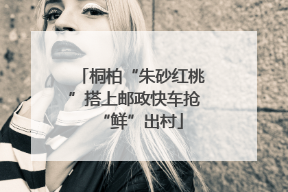 桐柏“朱砂红桃”搭上邮政快车抢“鲜”出村