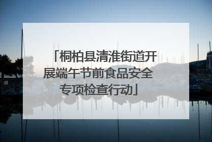 桐柏县清淮街道开展端午节前食品安全专项检查行动
