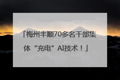梅州丰顺70多名干部集体“充电”AI技术！