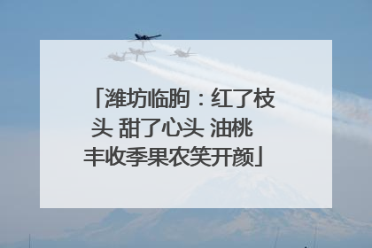 潍坊临朐：红了枝头 甜了心头 油桃丰收季果农笑开颜