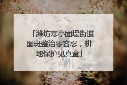 潍坊寒亭固堤街道图斑整治零容忍，耕地保护见真章