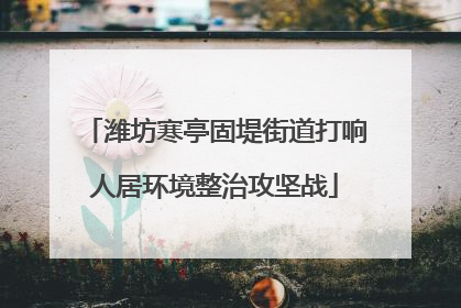 潍坊寒亭固堤街道打响人居环境整治攻坚战