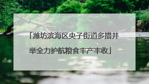 潍坊滨海区央子街道多措并举全力护航粮食丰产丰收